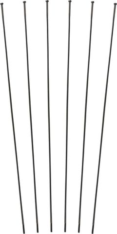DT Swiss DT Swiss Speichenkit für ARC 1100 DICUT DB 80 schwarz 240 mm